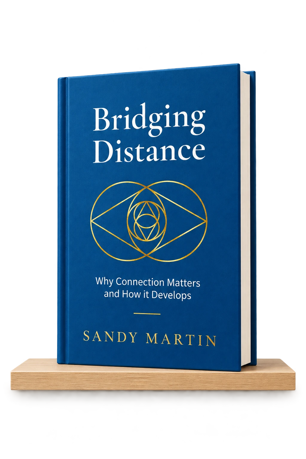 Bridging Distance by Sandy Martin on a wooden shelf